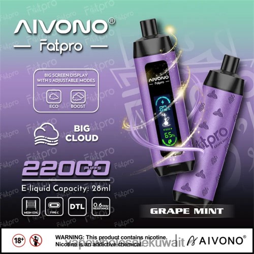 Vape Kuwait - Aivono Fatpro 22000 نعناع العنب TXZ2622
