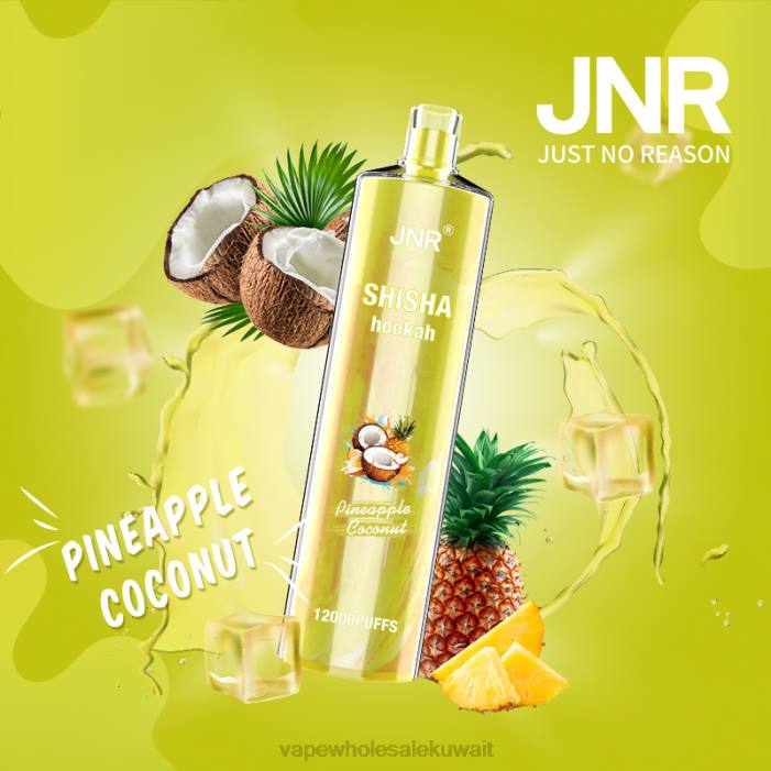 68FB686 - Vape Wholesaler جوز الهند الأناناس JNR SHISHA